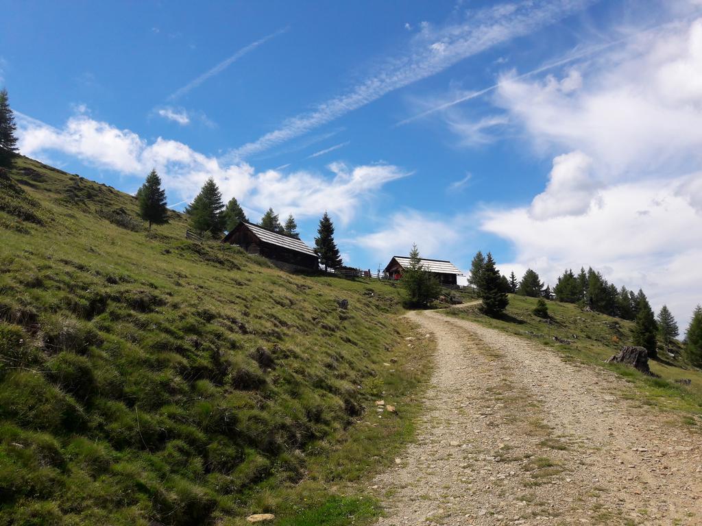Ferienwohnung Gerti Kalt Lieserhofen Quarto foto